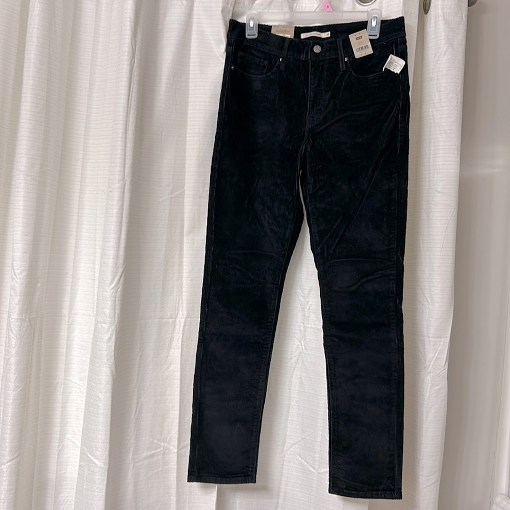 Corduroy Pants - Picture 3 of 5